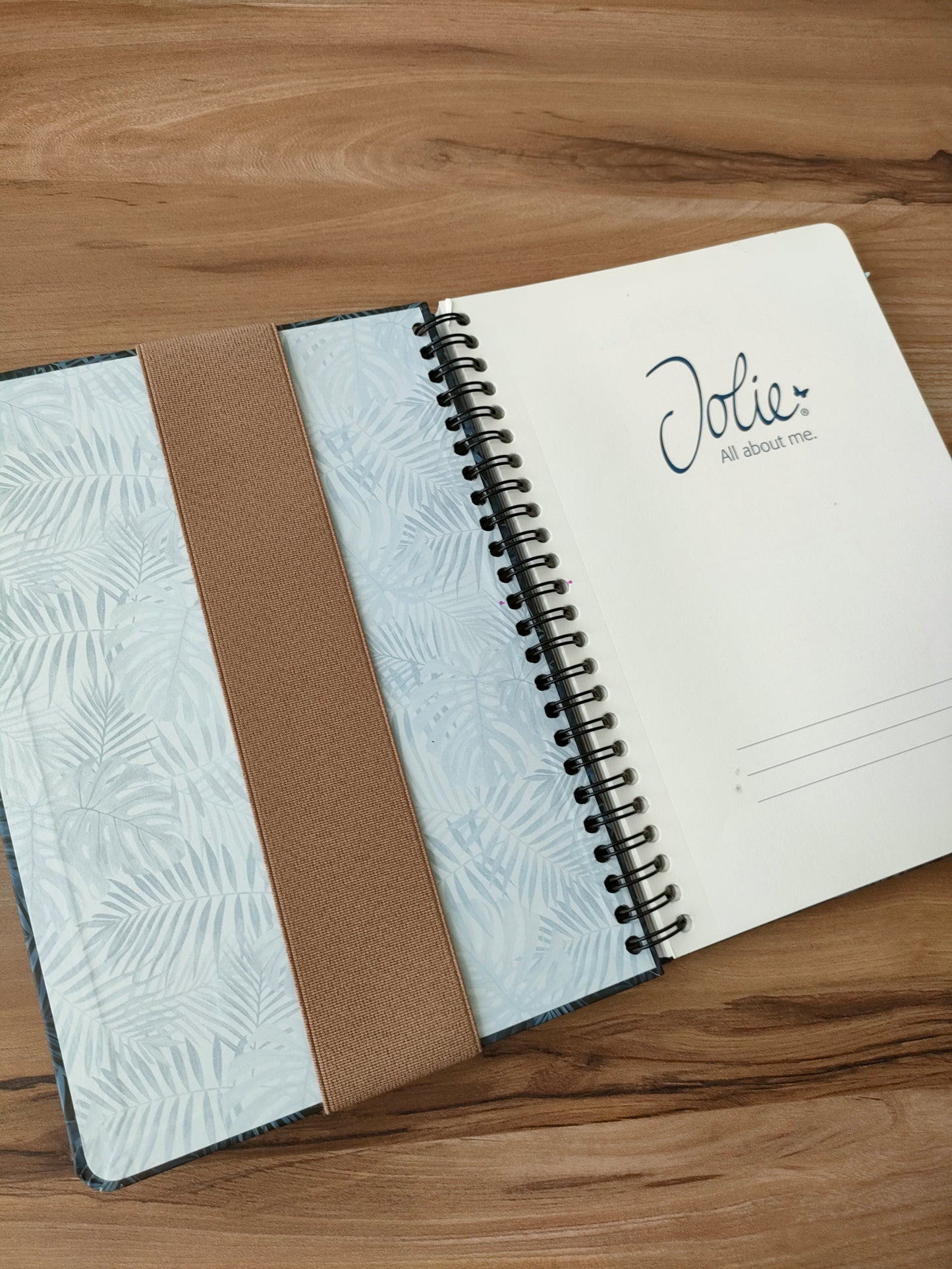 Estuche koala leopardo