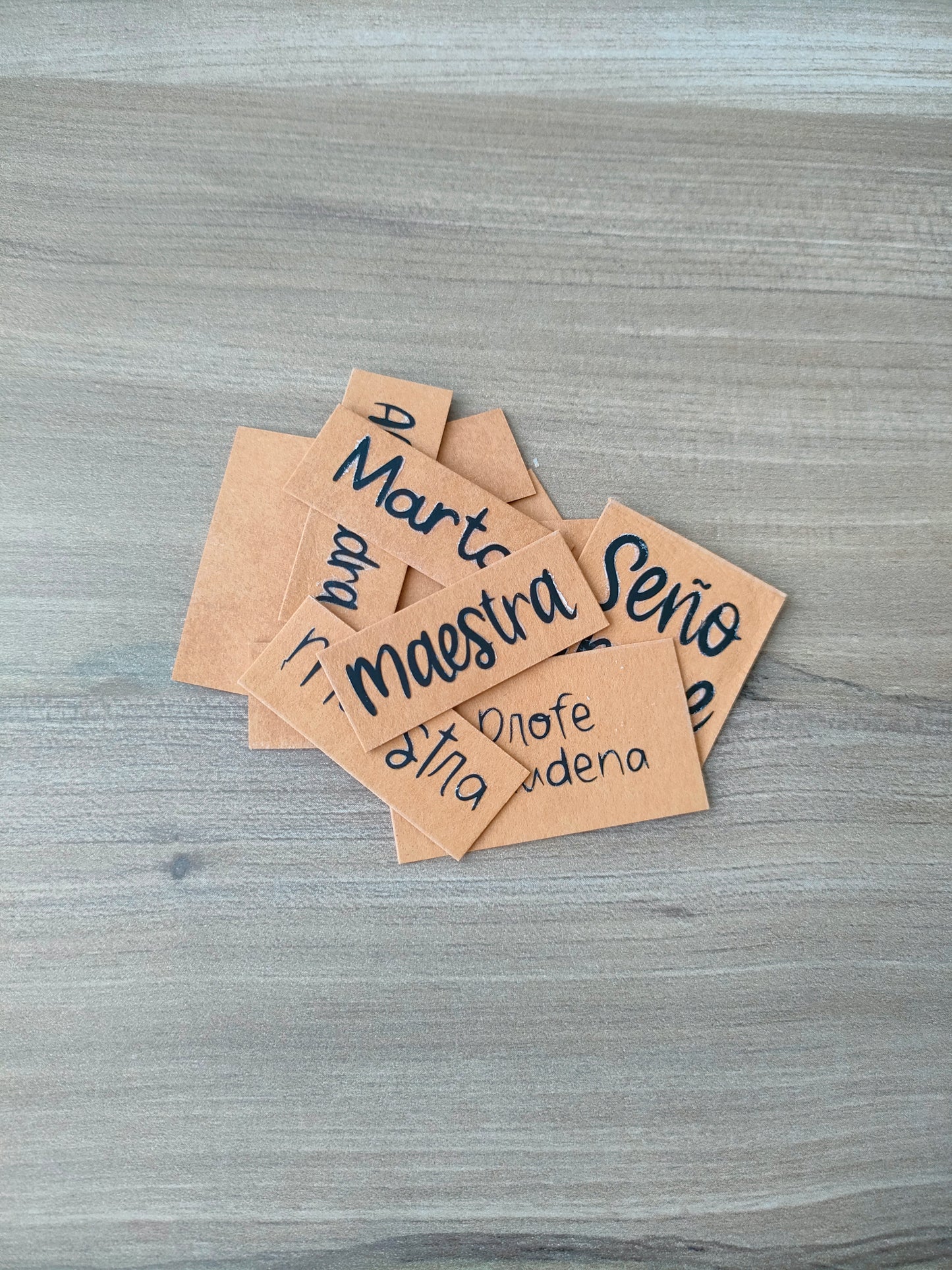 Estuche koala series